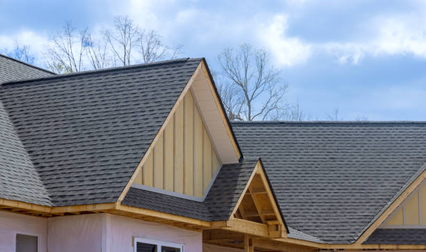 Best Roof Maintenance and Cleaning  in Preston Heights, IL