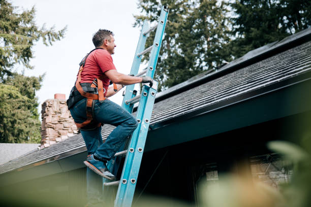 Best Steel Roofing  in Preston Heights, IL